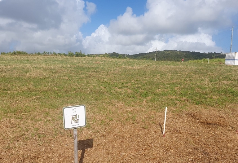 VineYard Development Lots For Sale