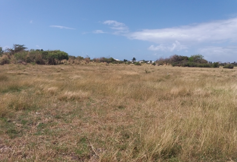 5.3 Acres of Land GreenPoint St.Philip Barbados
