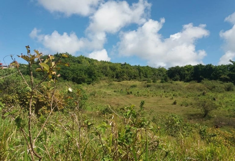 Lot A4 Walkes Springs St. Thomas