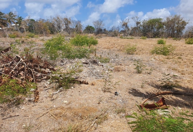 Lot 3C Heddings, St. Philip Barbados